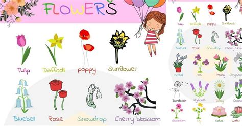 Flowers Names Useful List Of Flowers With Images With Images List Of Flowers Flower Images