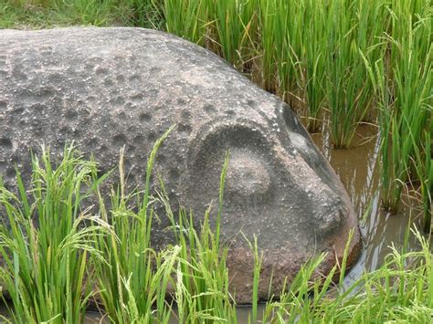 The Mysterious Megaliths Of Bada Valley Indonesia Megalith Ancient Aliens Ancient Mysteries