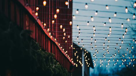Lights Christmas Lights Bokeh Wires Plants Building Wallpapers Hd
