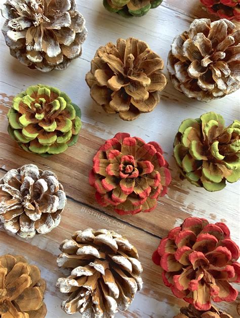 Craft Idea For Adults Easy Diy Pinecone Flowers With Stems