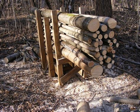 How To Cut Firewood From Felled Trees Safely And Easily
