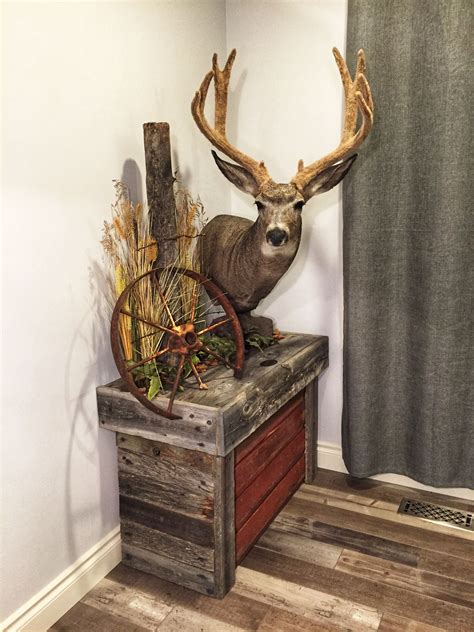 How To Display Antlers