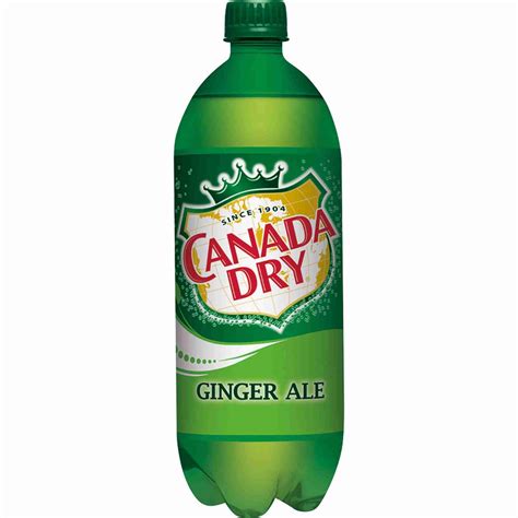 Canada Dry Ginger Ale 1 Liter Buscemis Livonia