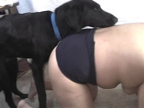 Black Dog Hardly Banged A Big Ass Whore From Behind Zoo Tube 1