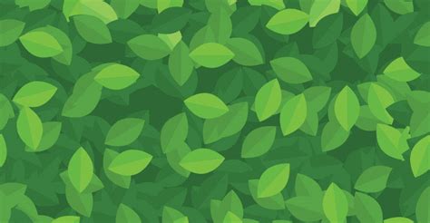 Green Pattern Wallpaper Sf Wallpaper