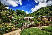 Jungle Village Photograph by JM Photography