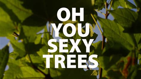 oh you sexy trees youtube