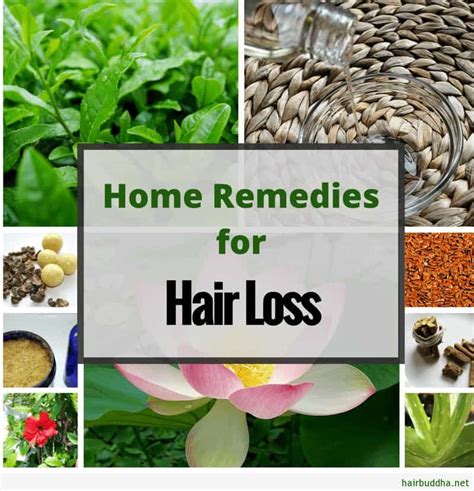 Top 10 Natural Remedies For Hair Loss Hair Buddha