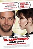 El lado bueno de las cosas (Silver Linings Playbook) - Película 2012 ...