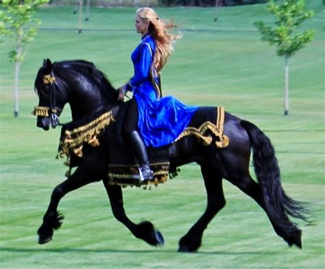 Angélica Italia The Kfps Royal Friesian Horse