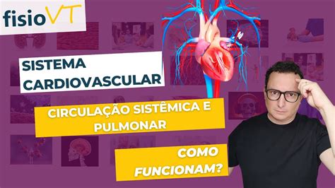 Fisiologia Cardiovascular 03 Circulação Sistêmica E Pulmonar Youtube
