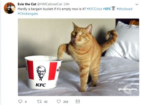 Twitter Users Share Hilarious Reactions To The Kfc Crisis Daily Mail
