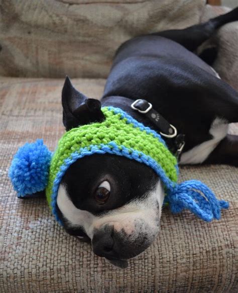 Image Result For Dog Hat With Ear Holes Free Crochet Pattern Crochet