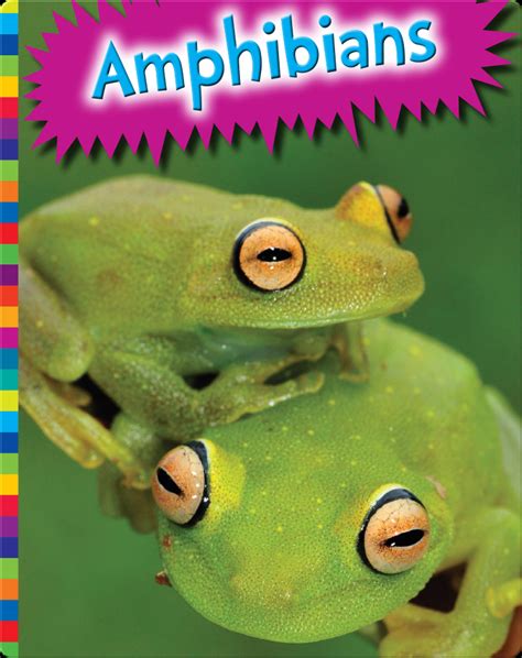 Amphibians Childrens Book By Michelle Levine Discover Childrens