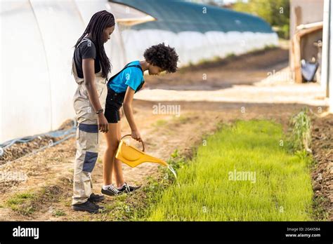 African Girl Watering Plants Hi Res Stock Photography And Images Alamy