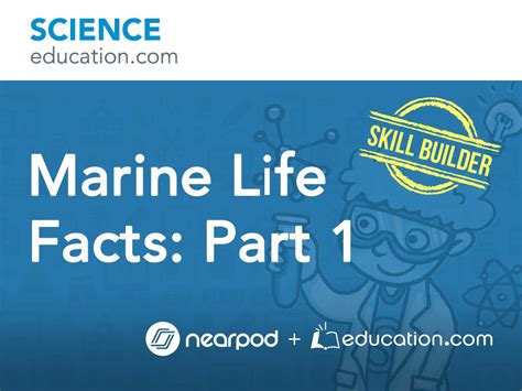 Marine Life Facts: Part 1