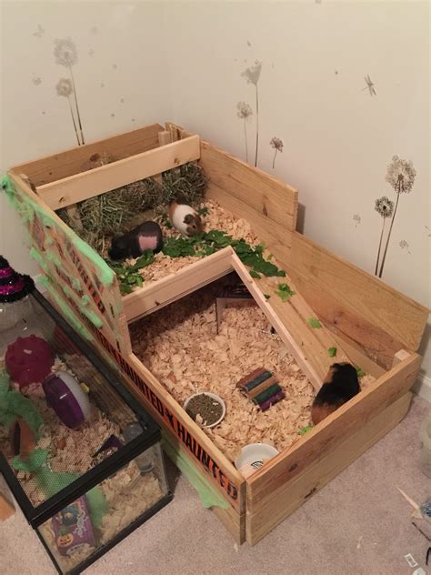 Indoor Guinea Pig Cage Custom Built For The Boys Cage Is 4x2 With