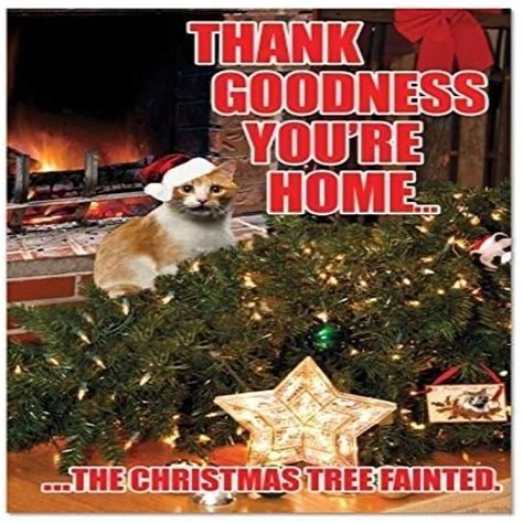 Christmas Cat Memes Courageous Christian Father