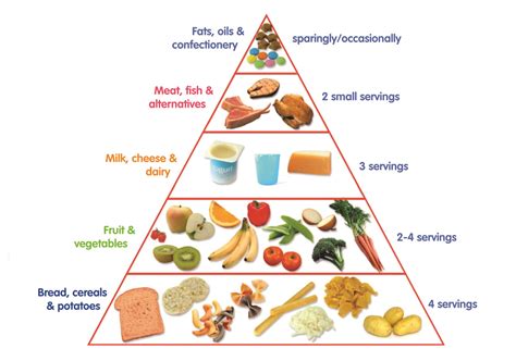 Food Pyramid Printable
