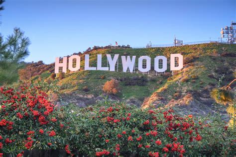 Celebrate 100 Years Of The Hollywood Sign West Coast Traveller
