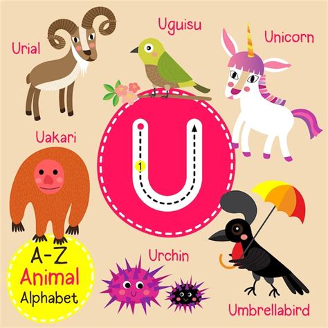 Premium Vector Letter U Zoo Alphabet