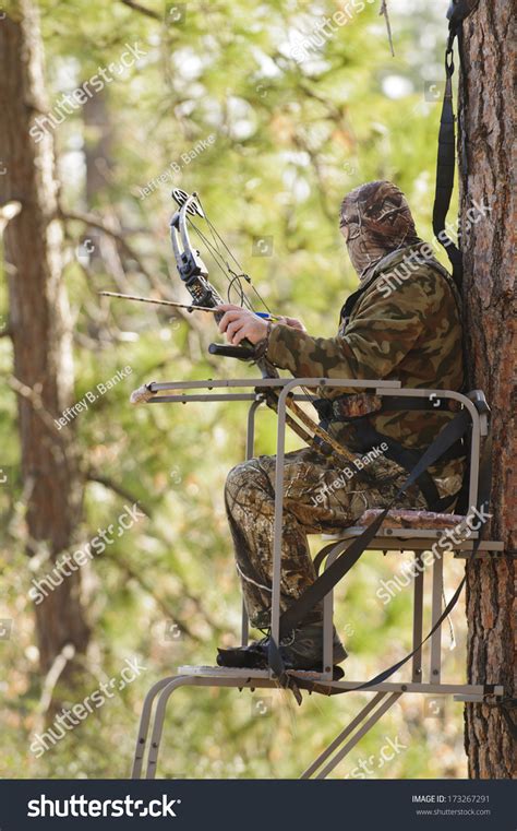 Bow Hunter In A Ladder Style Tree Stand Stock Photo