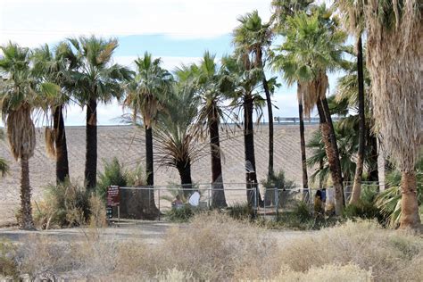 Holtville Hot Springs Returns To Life Calexico Chronicle