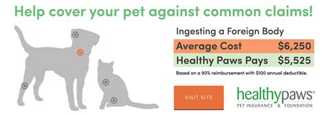 10 Best Pet Insurance Companies of 2018 [Updated]