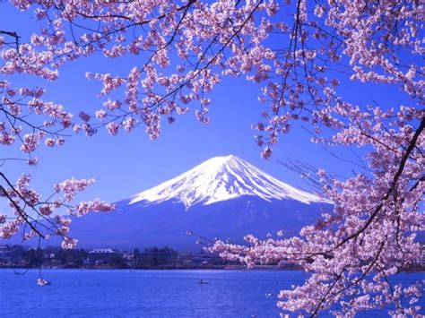 Mount Fuji Japan - Piece Of Highest Range