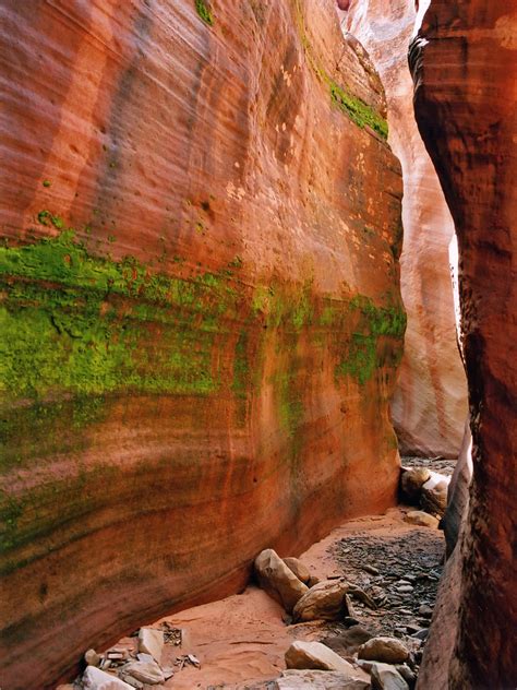 Mossy Wall Sand Wash Red Cave Utah