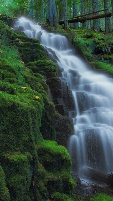 Download Wallpaper 2160x3840 Waterfall Moss Landscape Nature Samsung