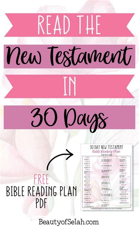 How To Easily Read The New Testament In 30 Days Bible Reading Plan Pdf