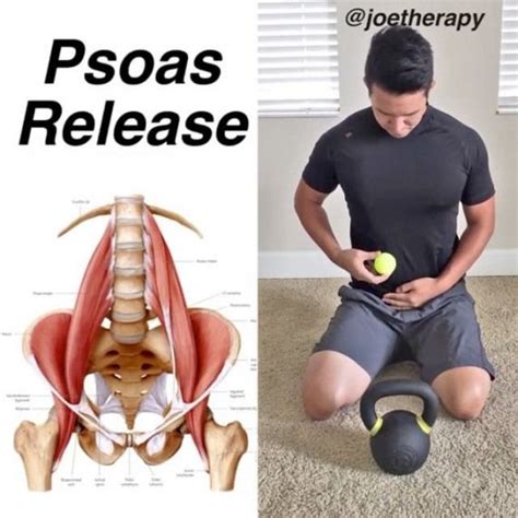 Best Psoas Exercises Images Psoas Release Hip Flexor Psoas Muscle My