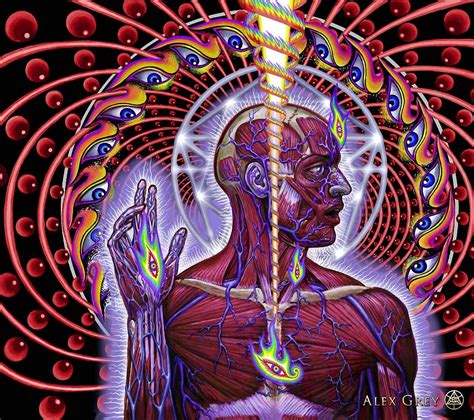 Maybe you would like to learn more about one of these? Alex Grey Paintings | Alex gray art, Visionary art, Tool ...