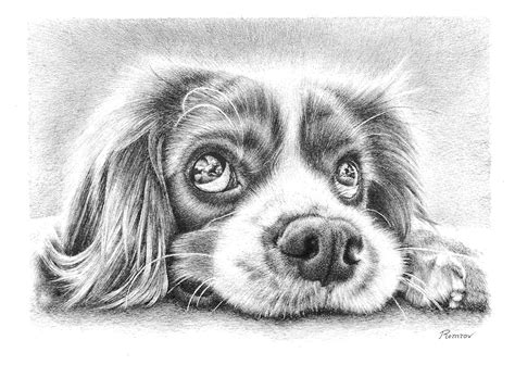 The expression is really nice x3. Photorealistic Pencil Drawings of Animals - Remrov's Artwork
