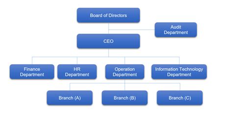 Organizational Chart Bayon Microfinance