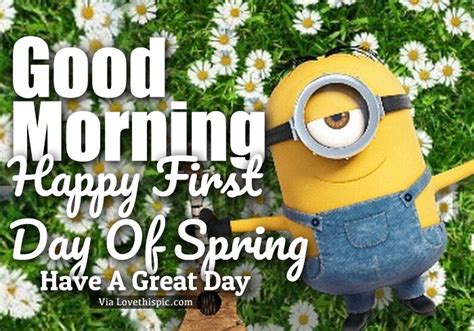 Relaxed Minion Good Morning First Day Of Spring Quote Pictures Photos