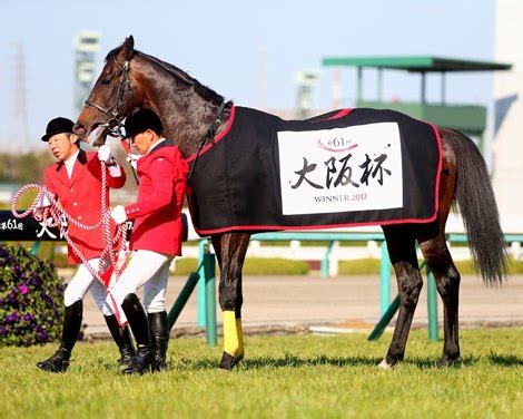 japanese horse   year headlines tenno sho bloodhorse