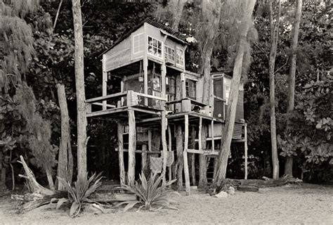 A Look At Life Inside A Hippie Tree House Village In Hawaii Nsfw