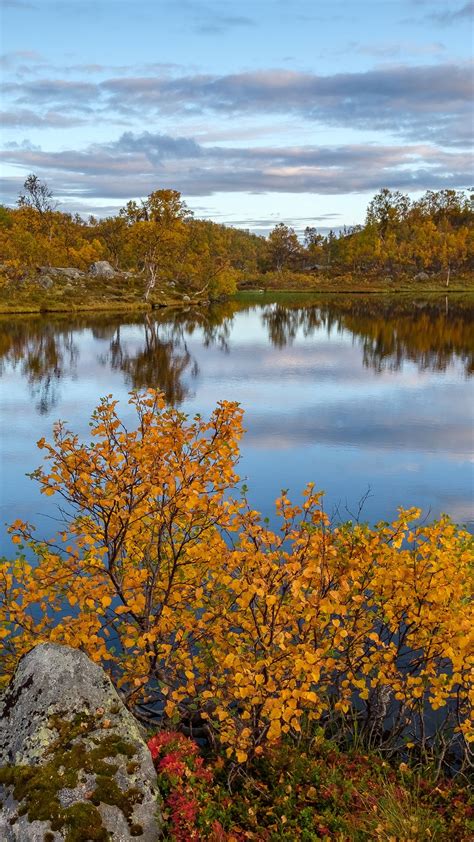 Autumn Scenery Reflection 4k Ultrahd Wallpaper Backiee