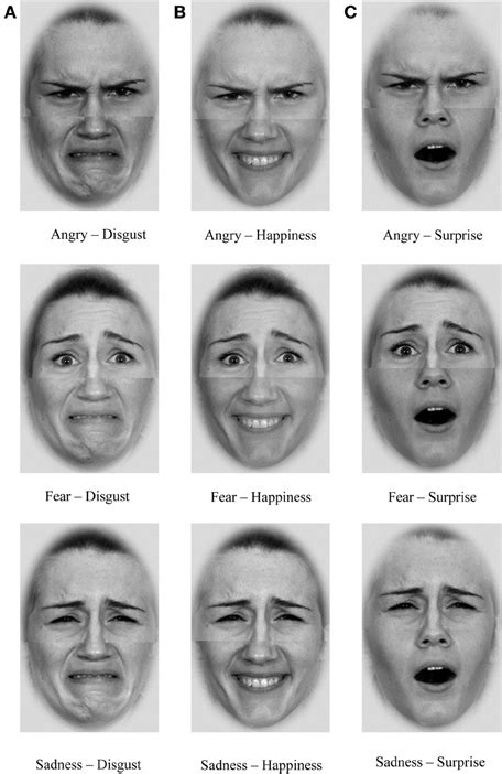 frontiers test battery for measuring the perception and recognition of facial expressions of