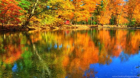 Lakes Autumn Reflections Forest Lake Colors Water Fall Trees