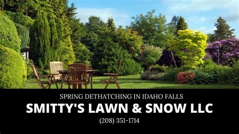 Lawn dethatching can be crucial to keeping your grass and soil healthy. Idaho Falls Spring Dethatch | Smitty's Lawn & Snow LLC | 208-351-1714