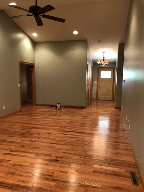 Take your time with the prep work, and use care to sand and clean in between coats of paint. Behr Weathered Moss Honey Oak hardwood floors #paintingroomhacks in 2020 | Honey oak trim ...