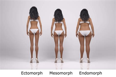 Woman Body Types Complete Guide Body Type Ectomorph Mesomorph And