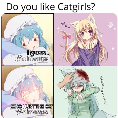 Dont Mess With The Catgirls Meme Memes Funny Lol Anime Funny