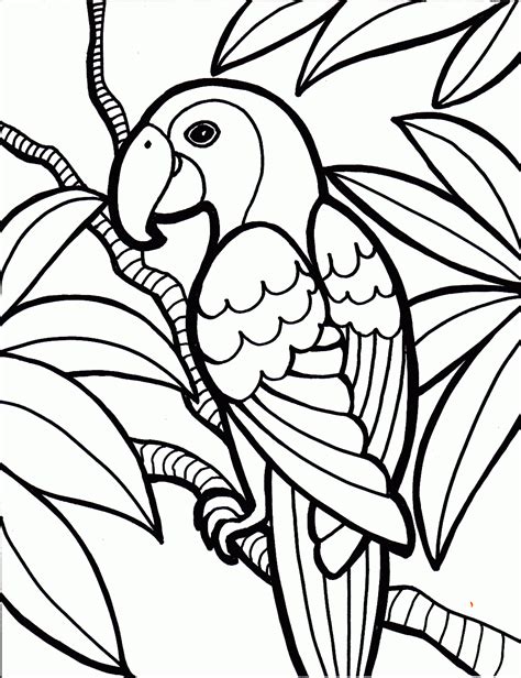 Parrot Bird Coloring Pages  1000×1301 Bw Drawings Pinterest