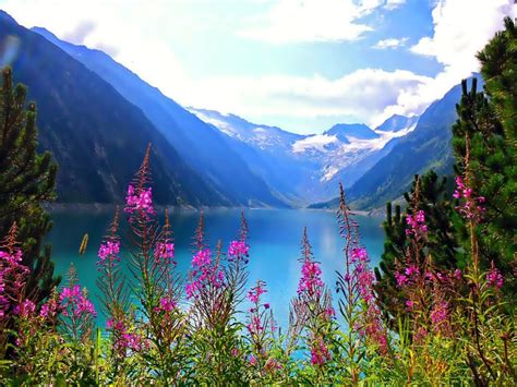Beautiful Nature Mountain Lake Flowers Free Hd Wallpaper