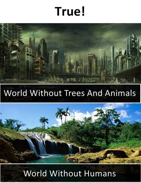 True World Without Trees And Animals World Without Humans