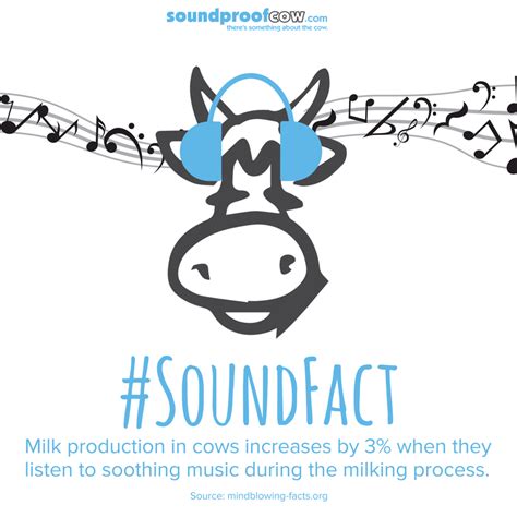 Soundfact Milk Production In Cows Increases By 3 When They Listen To